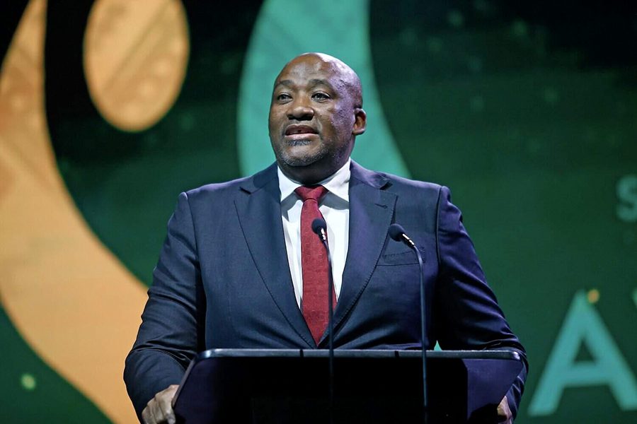 وزير الرياضة الجنوب إفريقي ينتقد مدرب منتخب بلاده بسبب تصريحاته حول المغرب